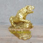 ho-phong-thuy-bang-dong-03