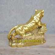 ho-phong-thuy-bang-dong-05